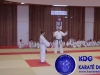 Fete-Karate-2016-23