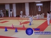 Fete-Karate-2016-18