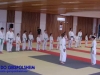 Fete-Karate-2016-29