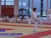 Fete-Karate-2016-34