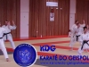 Fete-Karate-2016-36