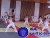 Fete-Karate-2016-51