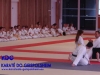 Fete-Karate-2016-63